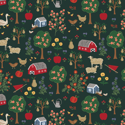 Farmhouse in Evergreen