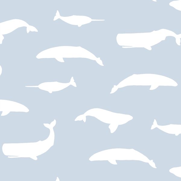 Whale Silhouette in Cirrus
