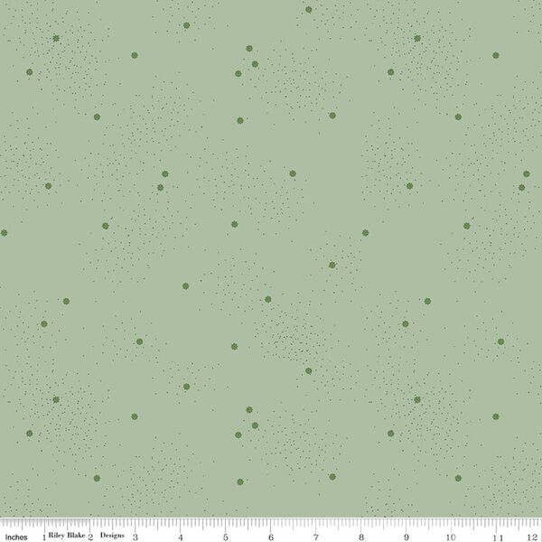 Dainty Daisy in Sage