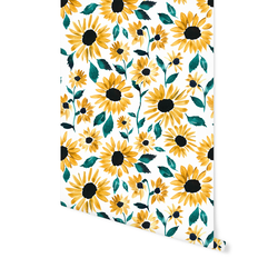 Blooming Sunflowers in Sunset Garden