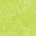 Paperie in Lime