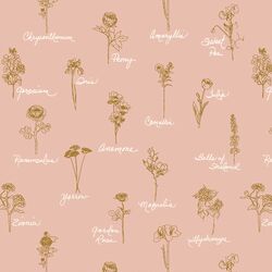 Seasons in Bloom