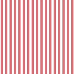 Dress Stripe in Dahlia