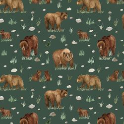 Grizzly Bears in Evergreen