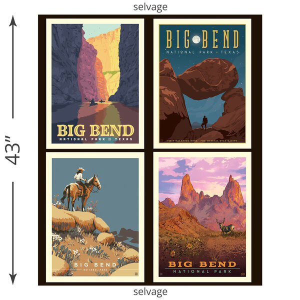 Big Bend Pillow Panel (2024)
