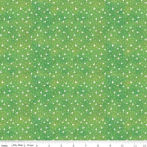 Cactus Texture in Green