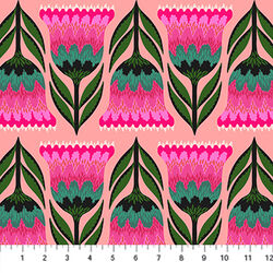 Celosia in Punch