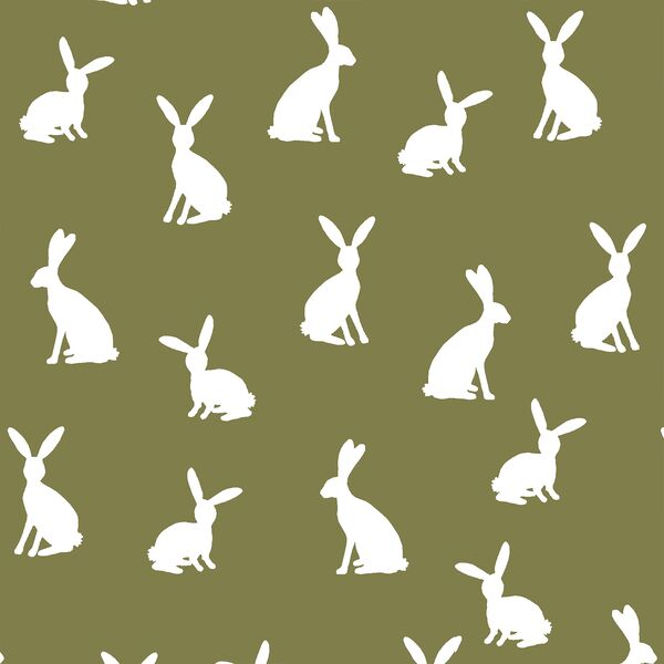 Cottontail Silhouette in Jungle