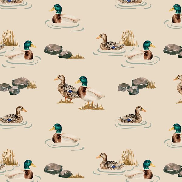 Waterfowl in Wild