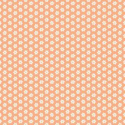 Little Spring Daisies in Carrot