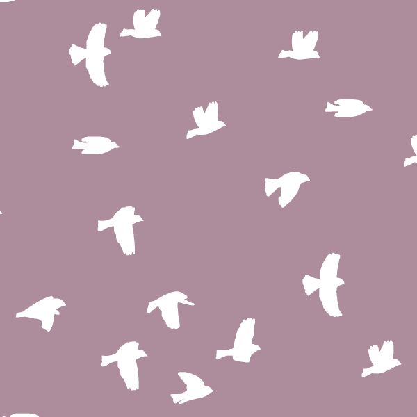 Flock Silhouette in Celestial