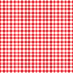 Summer Gingham in Berry Red