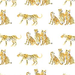 Spotted Cat in White
