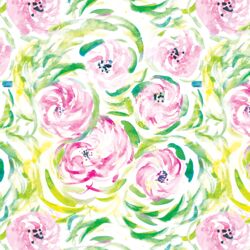 Peonies in Garden