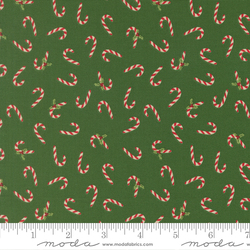 Candy Cane in Evergreen