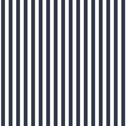 Dress Stripe in Eclipse