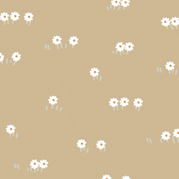 Small Daisy Field in Birch