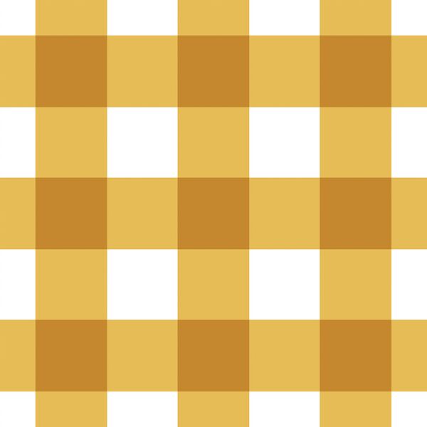 Summer Gingham in Golden Sun