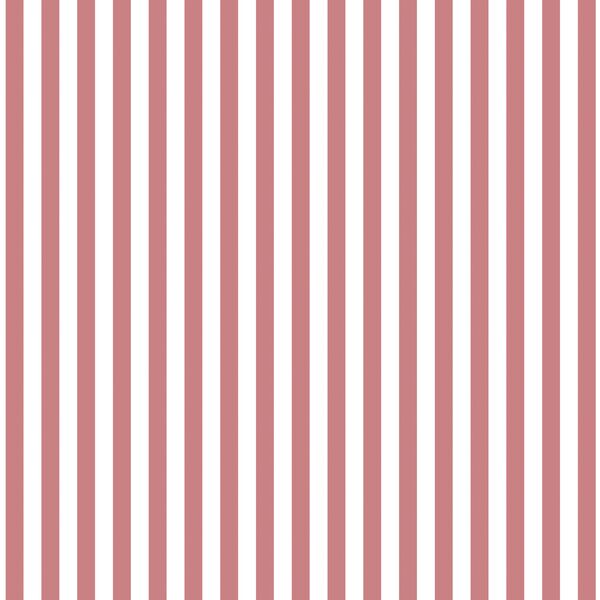 Dress Stripe in Berry
