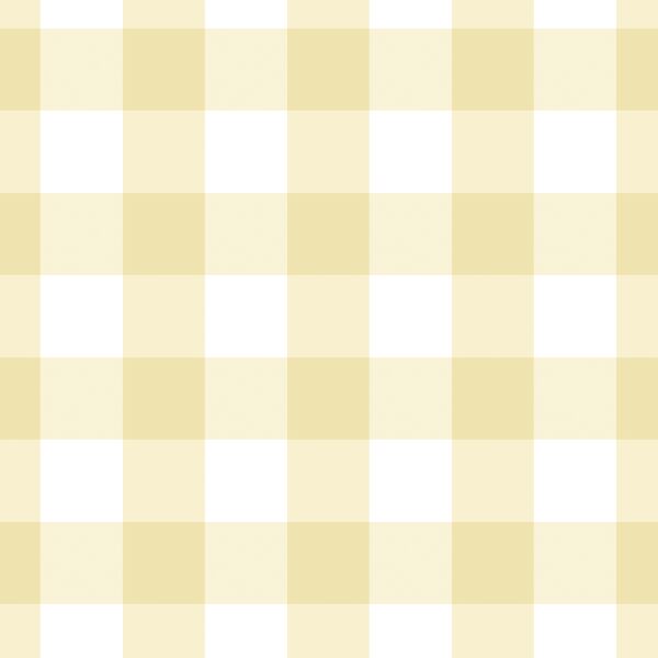 Large Gingham in Sunlight