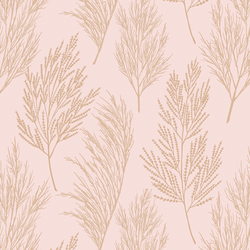 Pampas Grass in Sweet Pink
