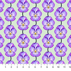 Pansy in Lavender