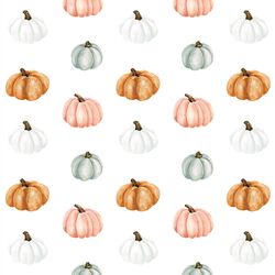 Pumpkins in White