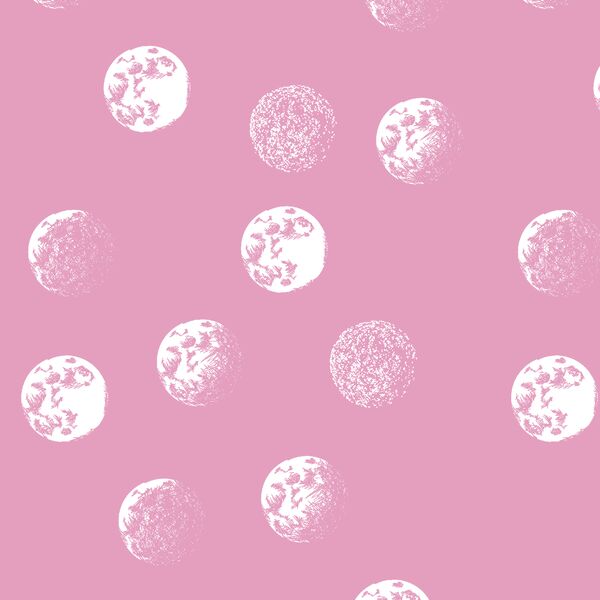 Moondance in Begonia