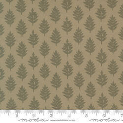 Woven Pine in Sage