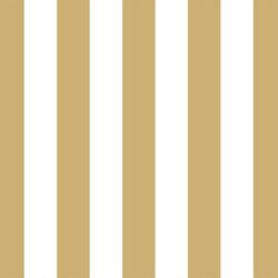 Play Stripe in Golden Canyon