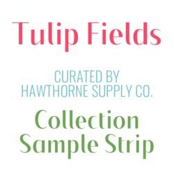 Tulip Fields Sample Strip