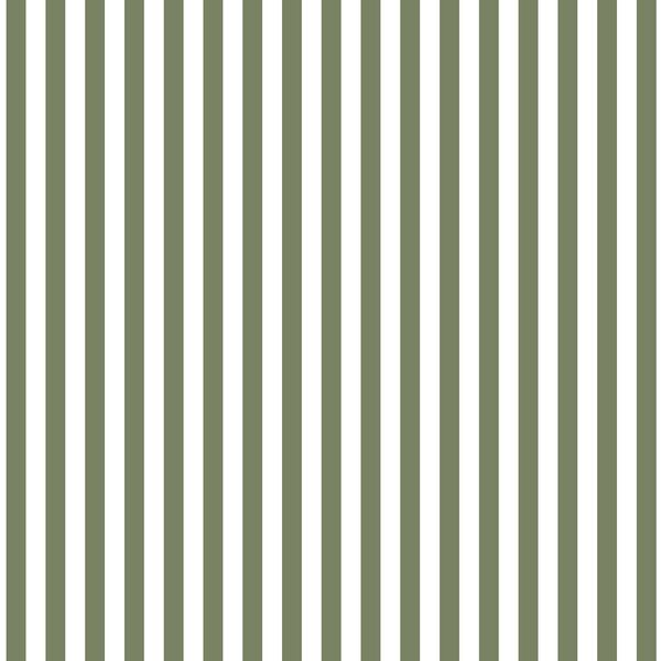 Dress Stripe in Olive