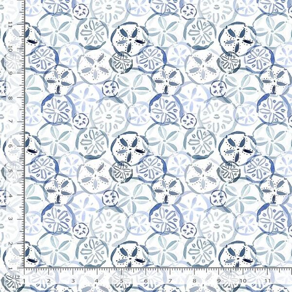 Sand Dollars in White