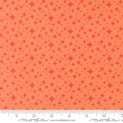 Starlight in Coral