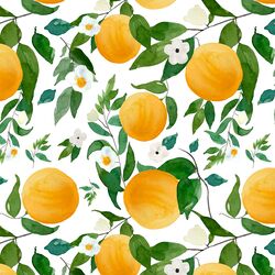 Large Oranges in White