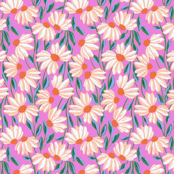 Wild Daisies in Bright Orchid