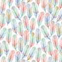 Feathers in Outer Banks