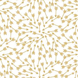 Arrows in Straw on White
