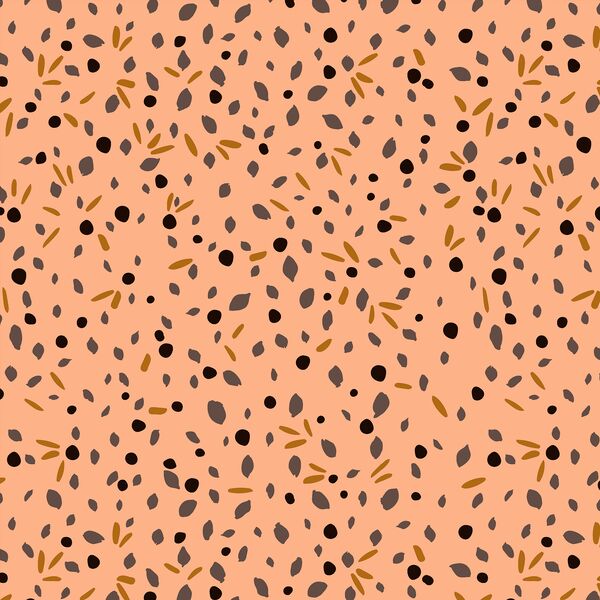 Seeds in Cantaloupe