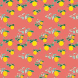 Citrus Grove in Coral