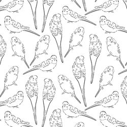 Parakeet Sketches in Notebook