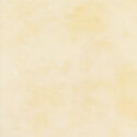 Palette in Cream