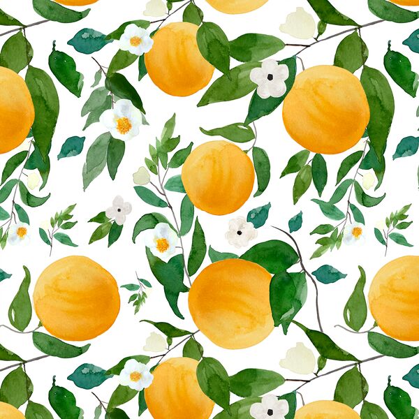 Large Oranges in White