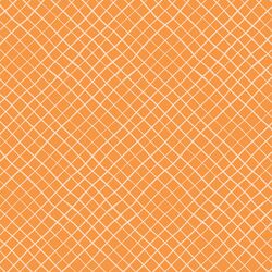 Waffle Cone in Tangerine