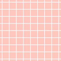 Wrapped in Candy Pink