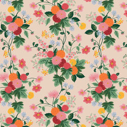 Dahlia in Blush