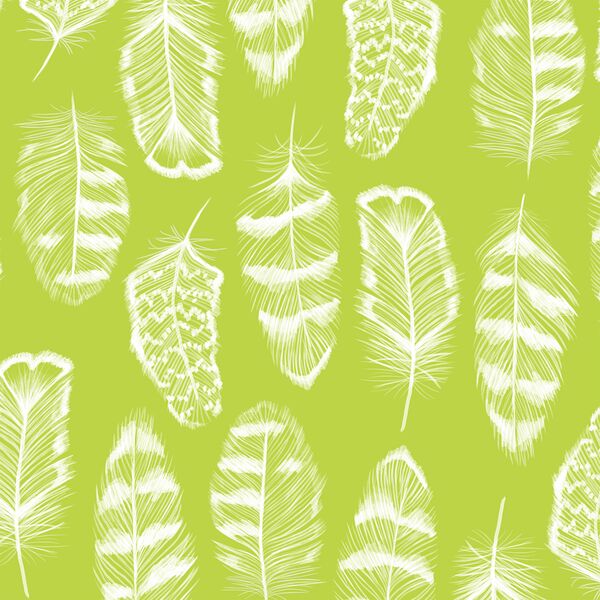 Plume in Lime