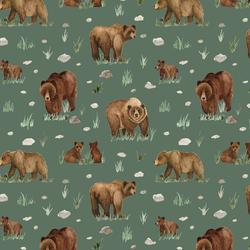 Grizzly Bears in Pine