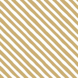 Rogue Stripe in Golden Canyon