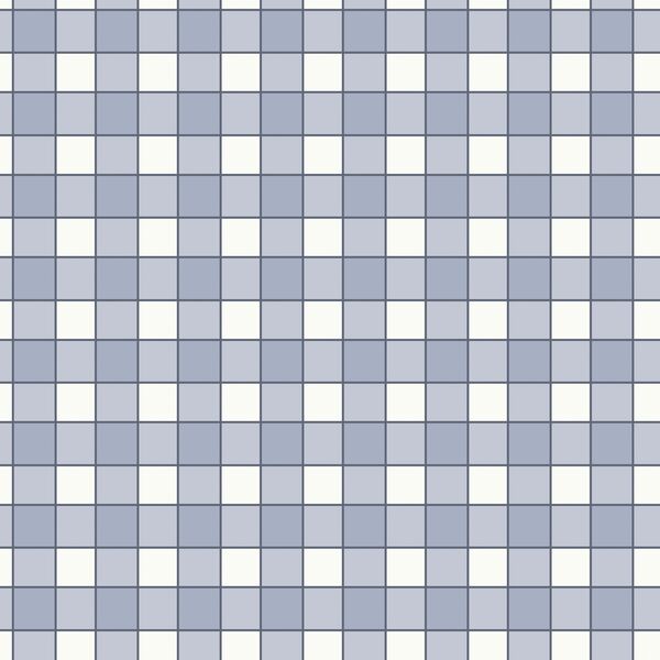 Outlined Gingham in Harbor Blue